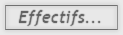 L'effectifs